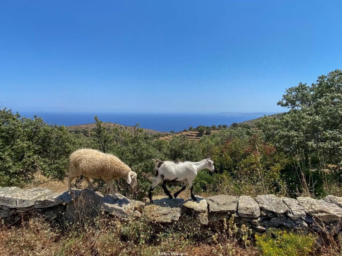 Under Royal Oaks Villa Pera Meria Dış mekan fotoğraf