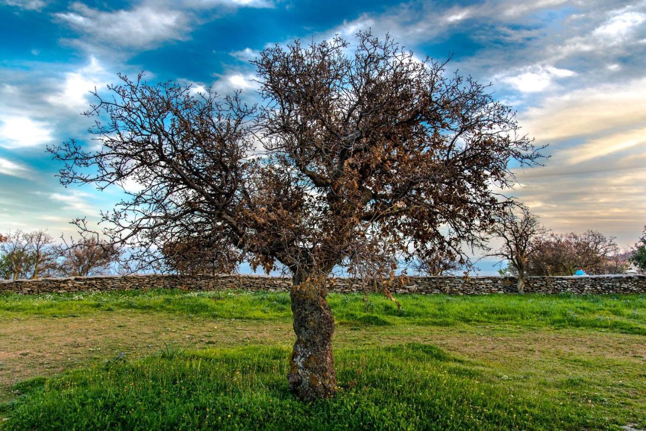Under Royal Oaks Villa Pera Meria Dış mekan fotoğraf